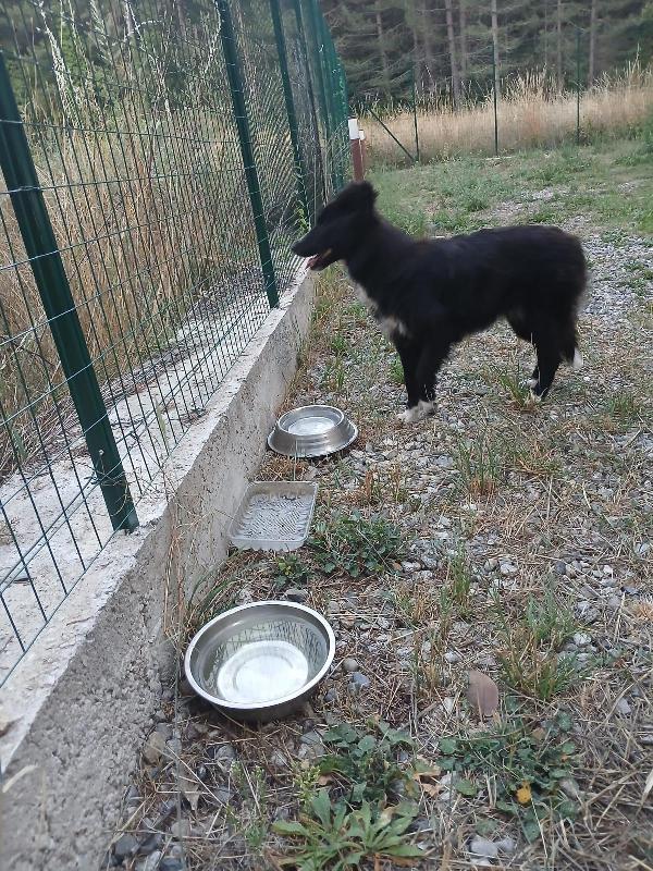 Quattro Calzini Foto 2